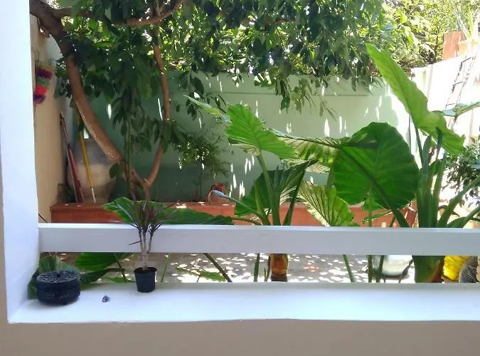 Zacharoula's Апартаменты