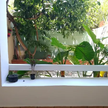 Zacharoula's Апартаменты